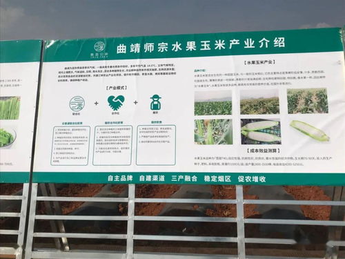 推廣有機肥改良土壤結構，云南國發助力師宗煙草綠色高質量發展